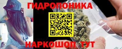 скорость Бийск