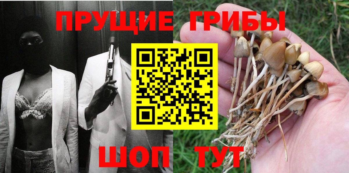 Качканар  Псилоцибиновые грибы Psilocybe  Вход с VPN 